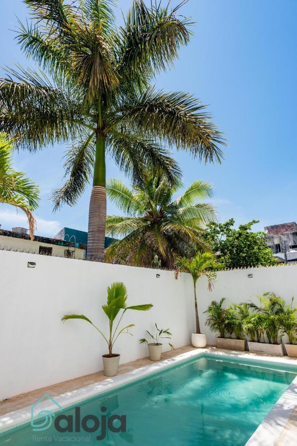 קנקון Vica Guest House Con Piscina En La Entrada De La Zona Hotelera מראה חיצוני תמונה